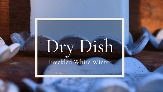 Why a Dry Dish is  a Necessity...